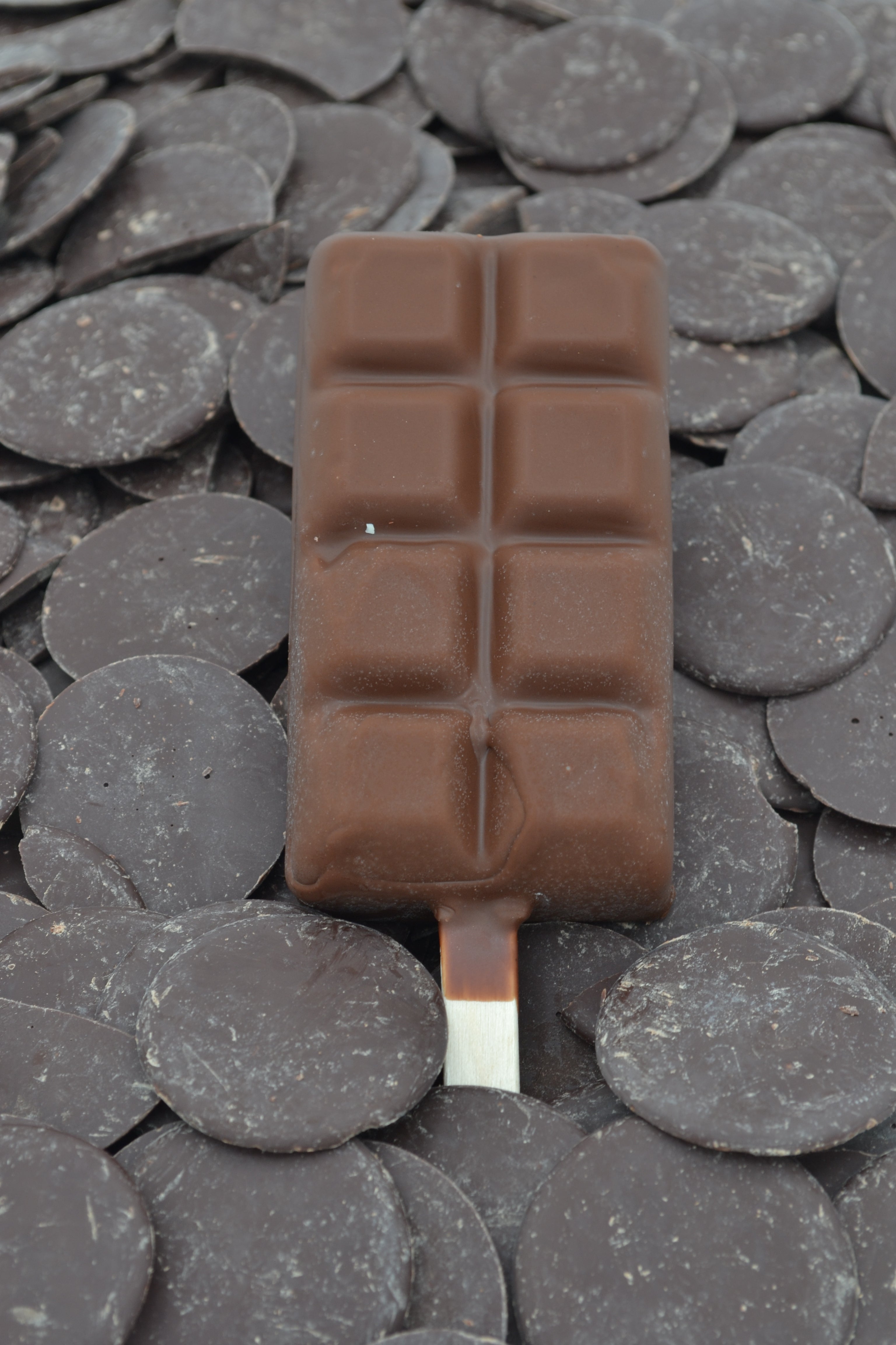 Dark Chocolate Gelato Popsicle