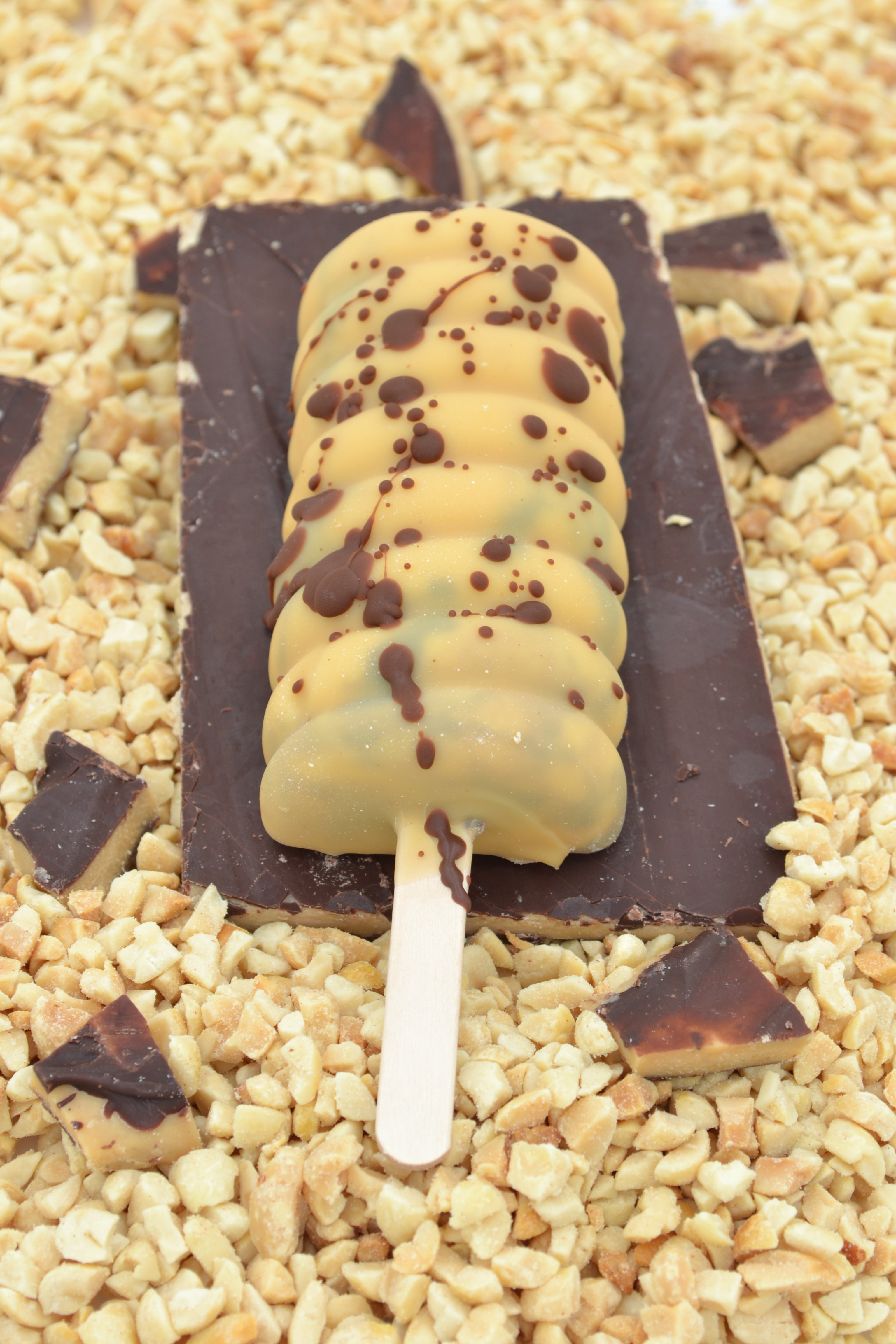 Peanut Fudge Gelato Popsicle