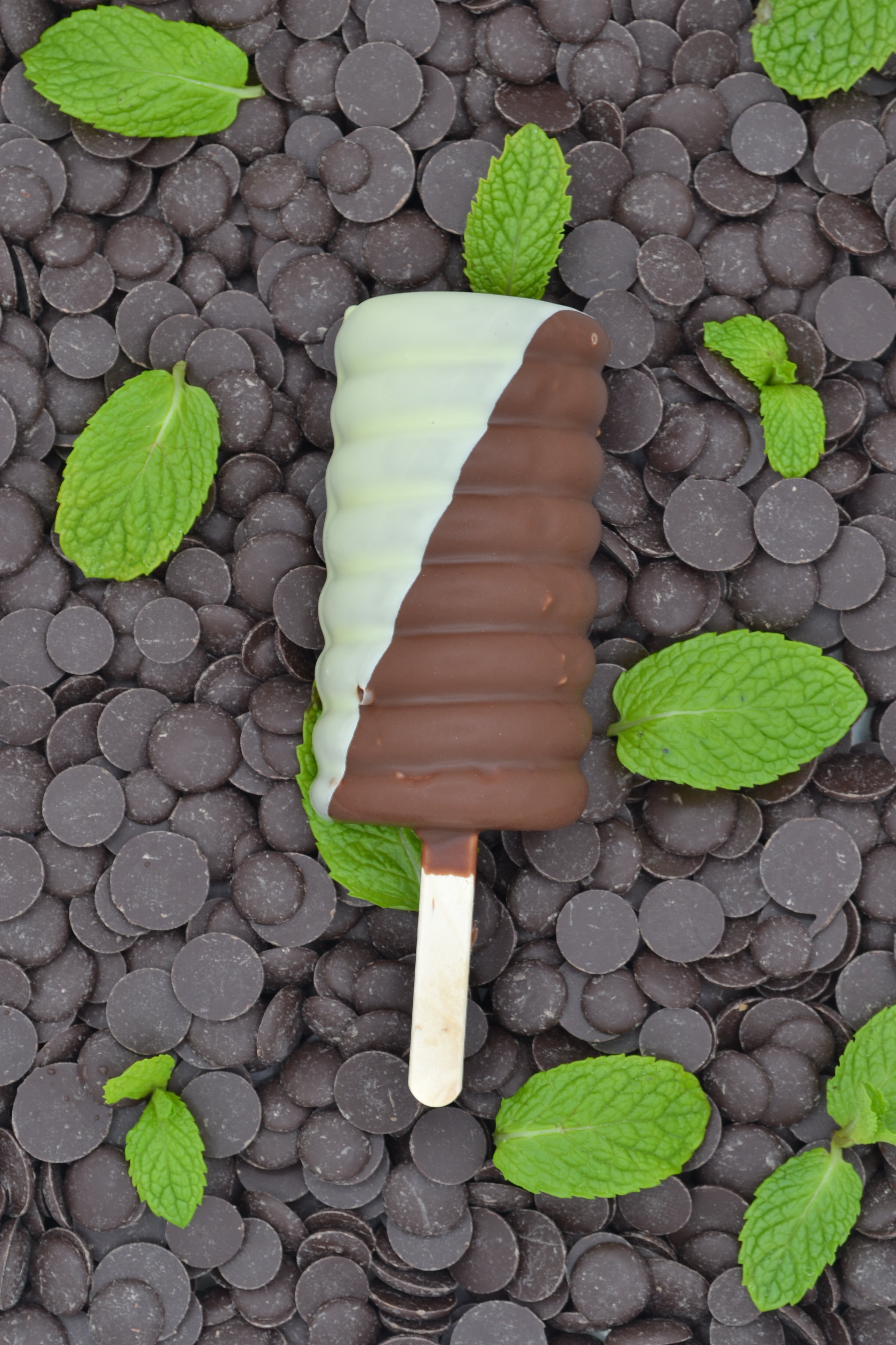 Mint Chocolate Gelato Popsicle